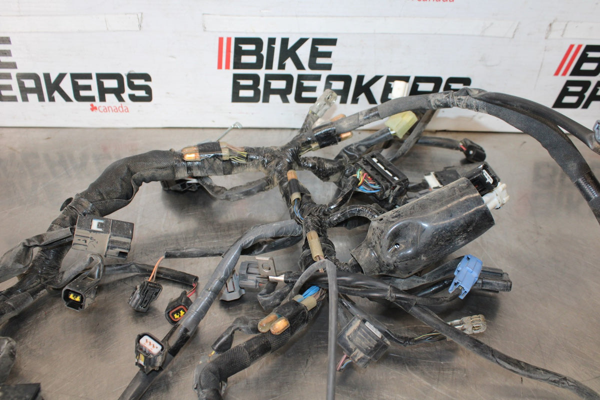 24-25 KAWASAKI NINJA 500 EX500J ABS MAIN ENGINE WIRING HARNESS MOTOR LOOM BB934