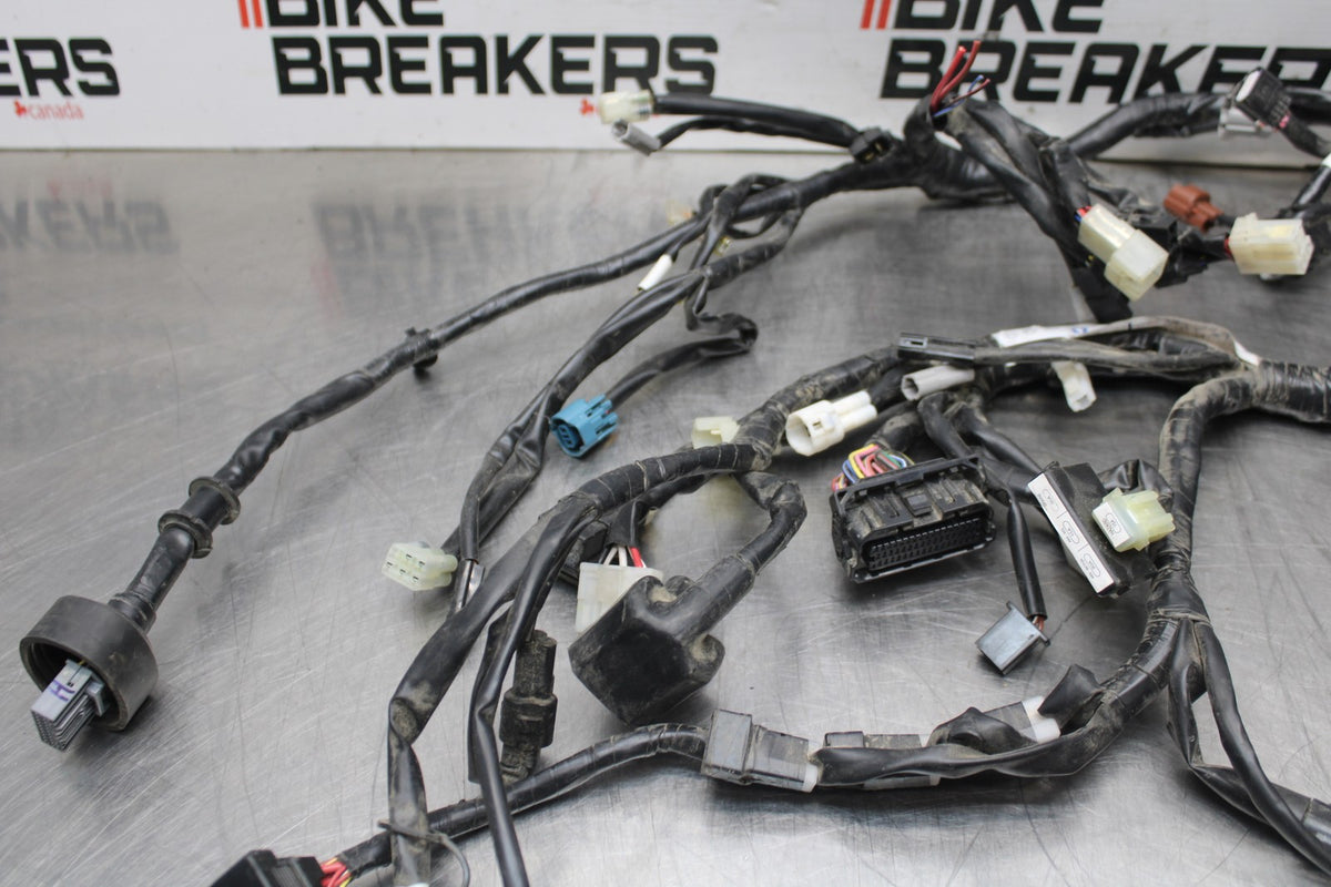 23 YAMAHA YZF R3 MAIN ENGINE WIRING HARNESS MOTOR WIRE LOOM BB806