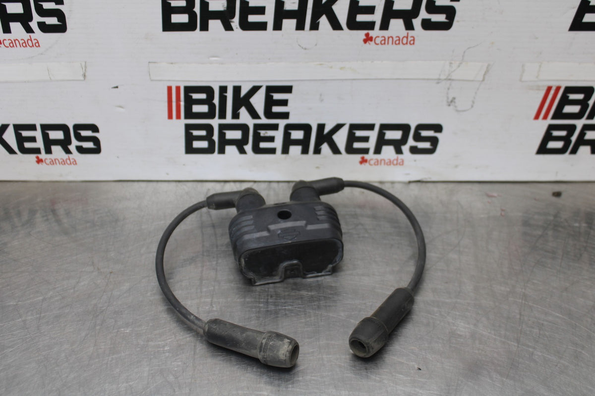 22 HARLEY-DAVIDSON PAN AMERICA 1250 IGNITION COIL SPARK PLUG CAP  BB910