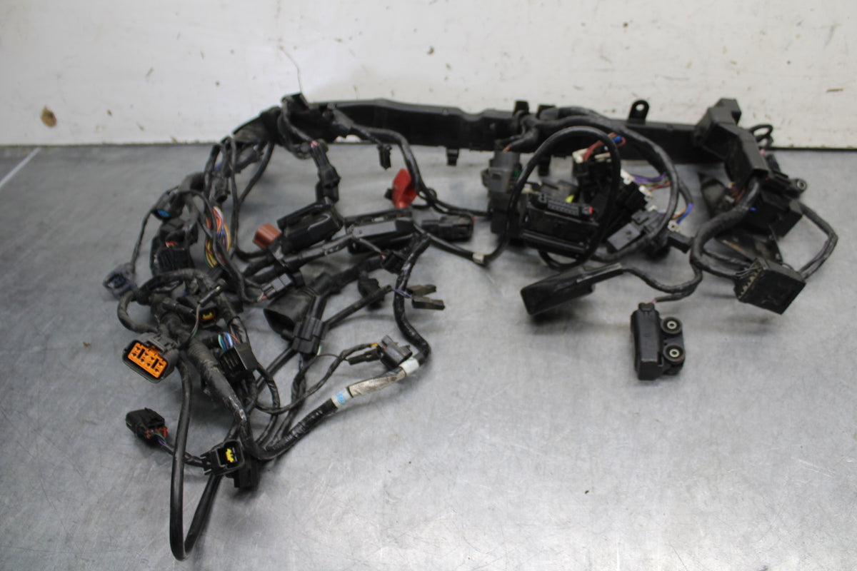 14-15 TRIUMPH STREET TRIPLE R MAIN ENGINE WIRING HARNESS MOTOR WIRE LOOM BB441