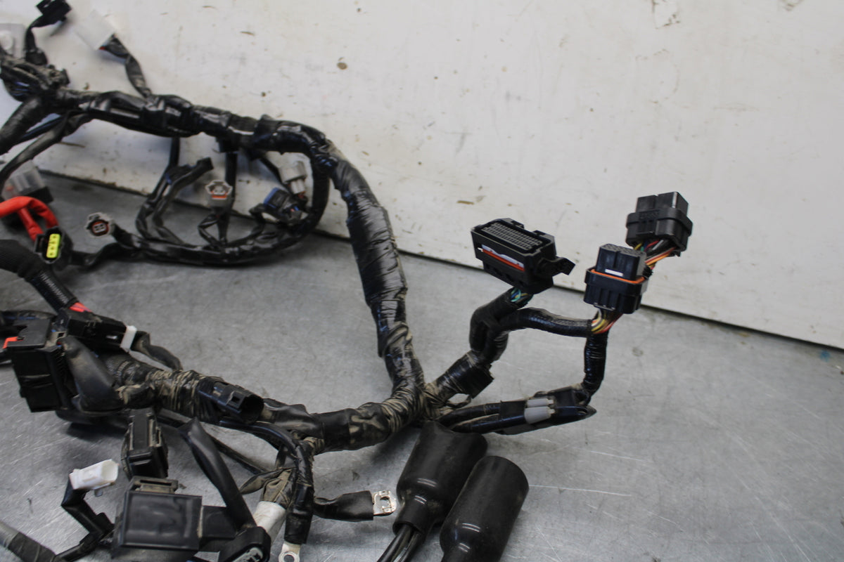 22-24 YAMAHA XSR900 MAIN ENGINE WIRING HARNESS MOTOR WIRE LOOM   BB683