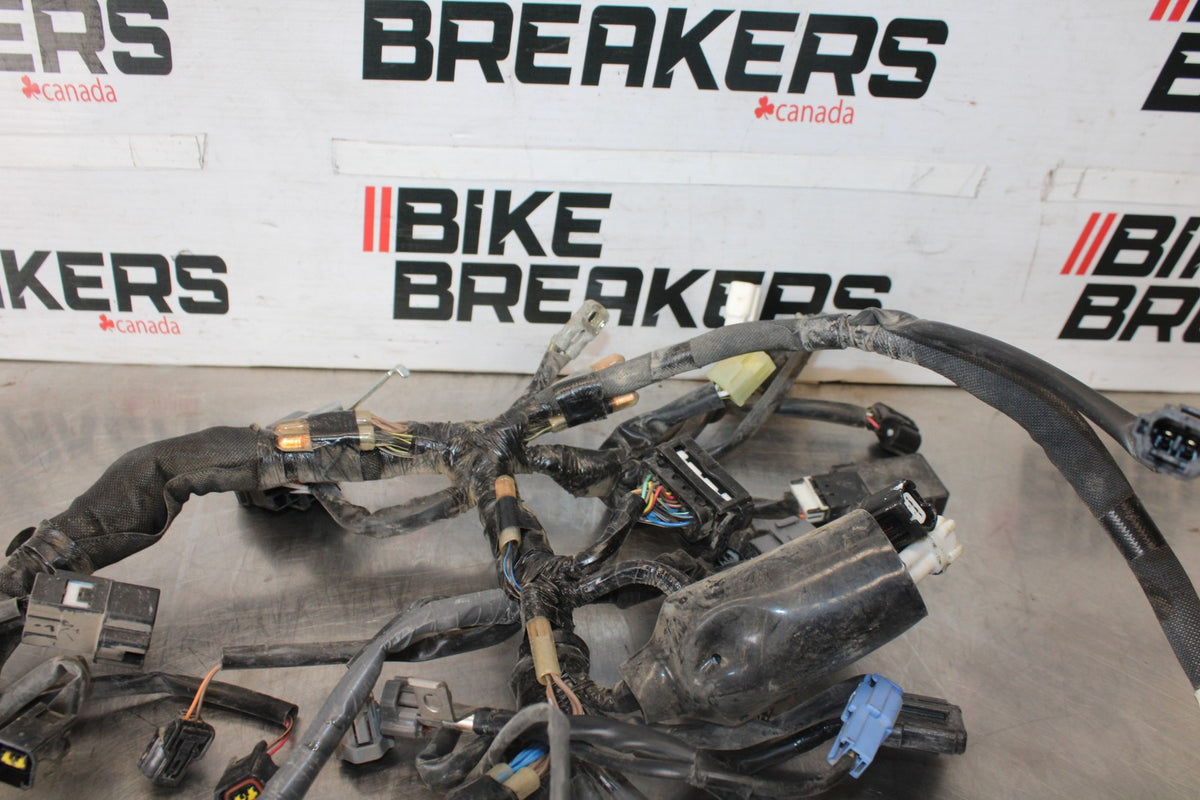 24-25 KAWASAKI NINJA 500 EX500J ABS MAIN ENGINE WIRING HARNESS MOTOR LOOM BB934