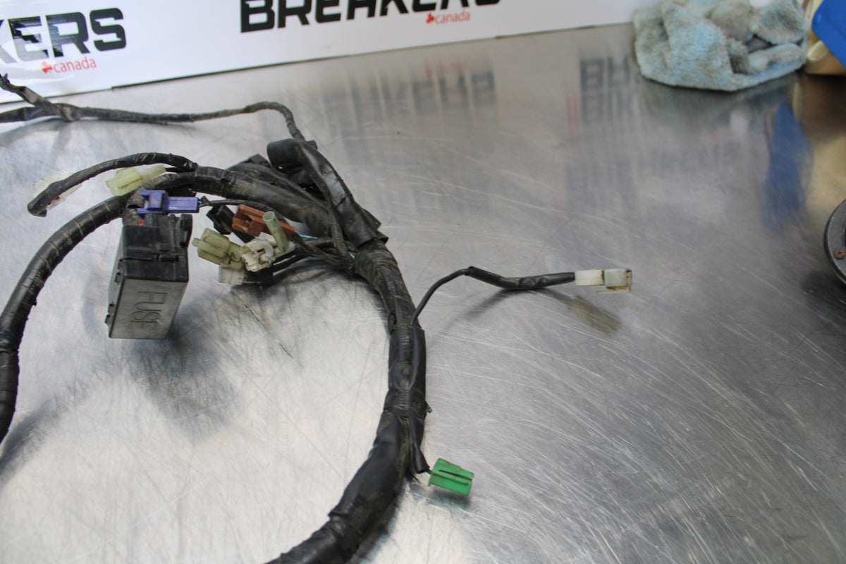 04 YAMAHA ROAD STAR XV1700A MAIN ENGINE WIRING HARNESS MOTOR WIRE LOOM BB155