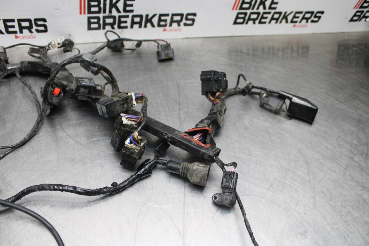 14 TRIUMPH STREET TRIPLE ABS MAIN ENGINE WIRING HARNESS MOTOR WIRE LOOM BB808