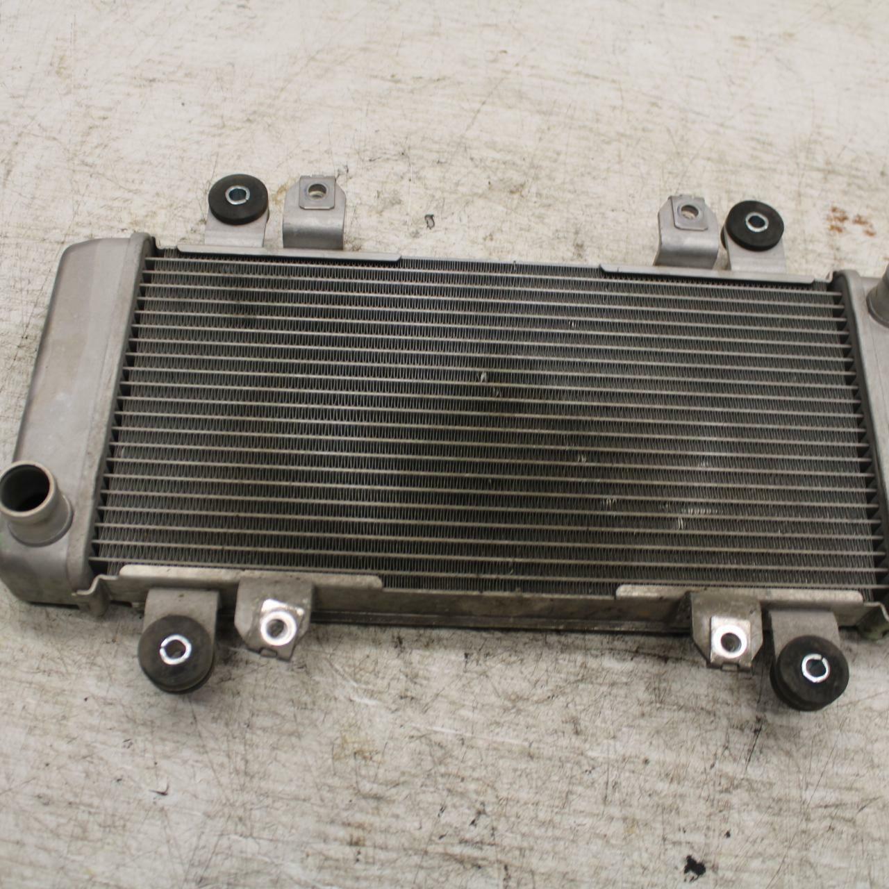 12-13 KAWASAKI EX300 NINJA ENGINE RADIATOR MOTOR COOLER COOLING RADIATER BB373