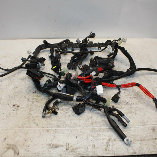 16-21 YAMAHA XSR900 MAIN ENGINE WIRING HARNESS MOTOR WIRE LOOM BB370 