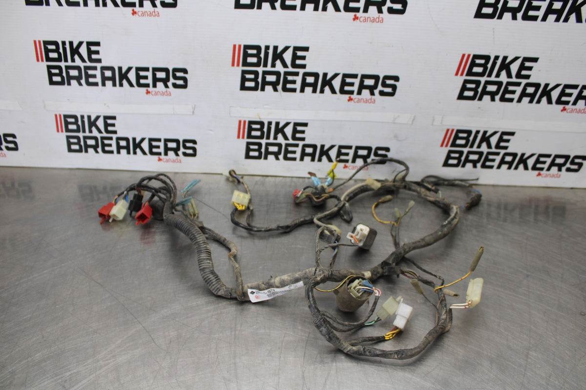06 KAWASAKI KLR650 MAIN ENGINE WIRING HARNESS MOTOR WIRE LOOM BB919