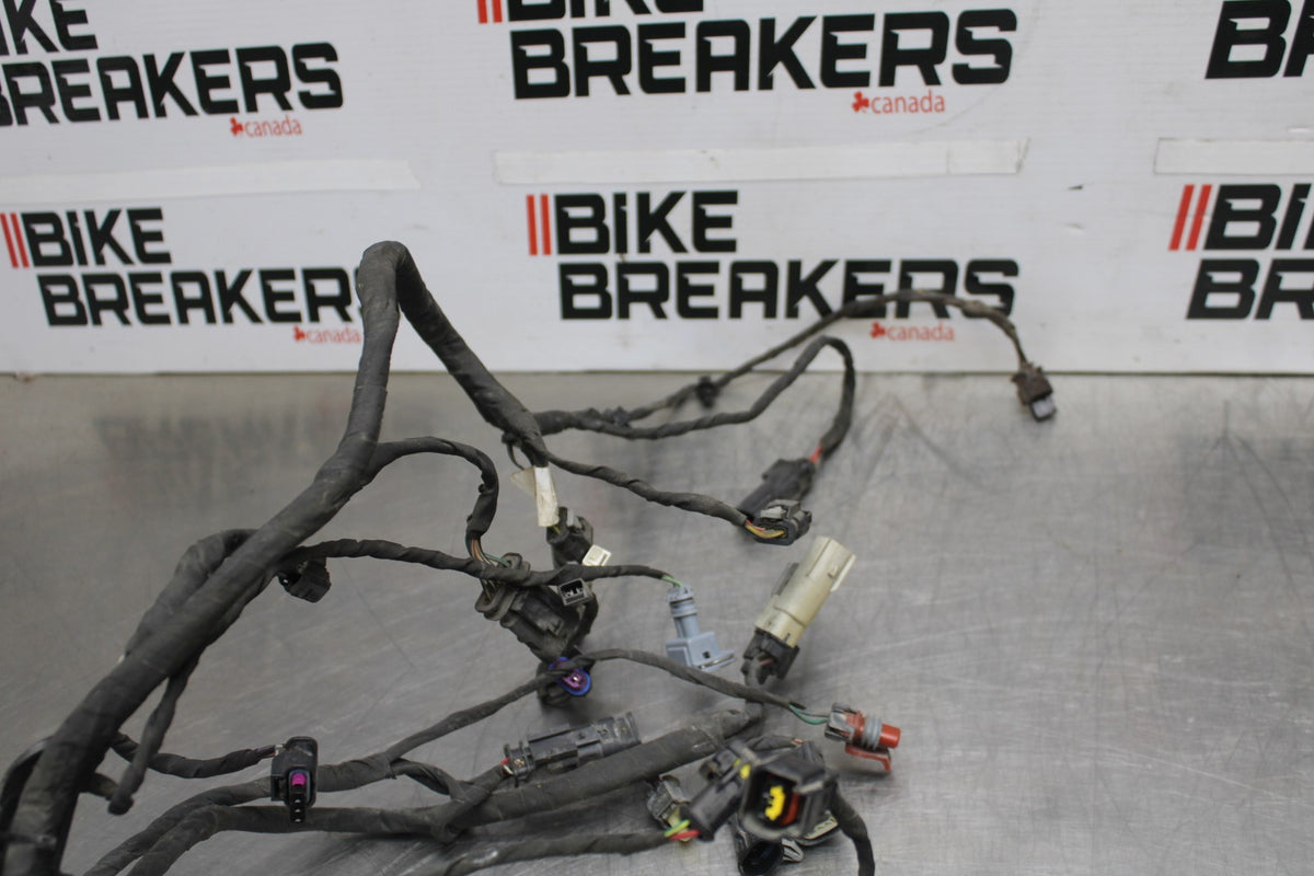 22 HARLEY-DAVIDSON PAN AMERICA 1250 MAIN WIRING HARNESS & MOTOR WIRE LOOM BB910