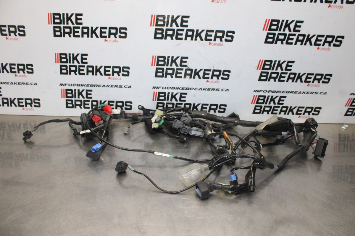 24-25 KAWASAKI ELIMINATOR 450 MAIN ENGINE WIRING HARNESS MOTOR WIRE LOOM BB869