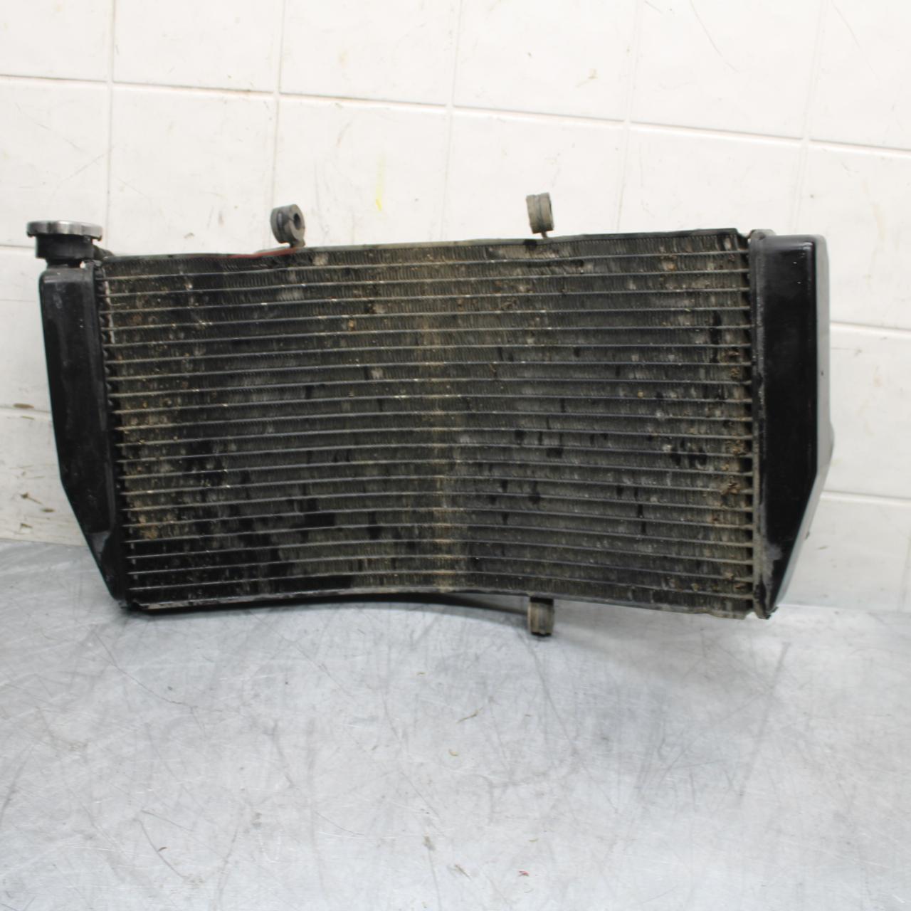 02-03 HONDA CBR900RR 954 ENGINE RADIATOR MOTOR COOLER COOLING RADIATER BB497