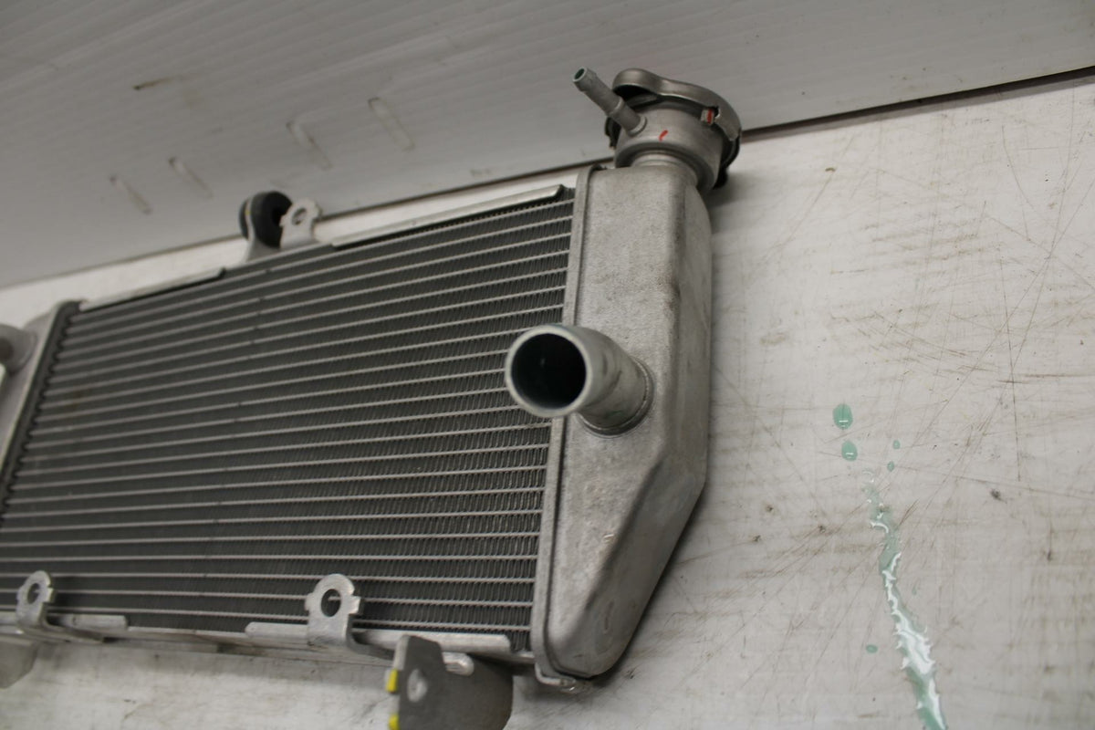 15-17 YAMAHA YZF R3 ENGINE RADIATOR MOTOR COOLER COOLING RADIATER BB293