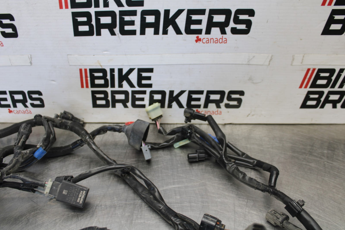 23 KAWASAKI NINJA 650 EX650 MAIN ENGINE WIRING HARNESS MOTOR WIRE LOOM BB920
