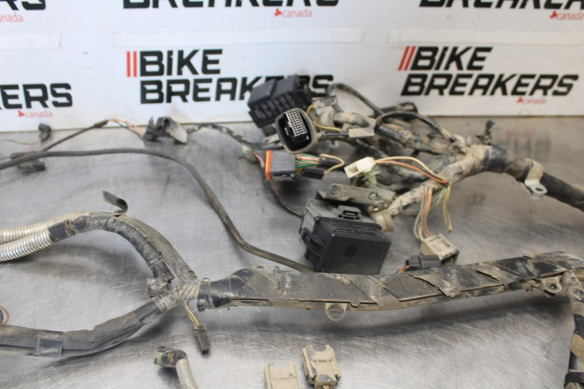 04 BUELL FIREBOLT XB12R ENGINE WIRING HARNESS MOTOR WIRE LOOM BB903