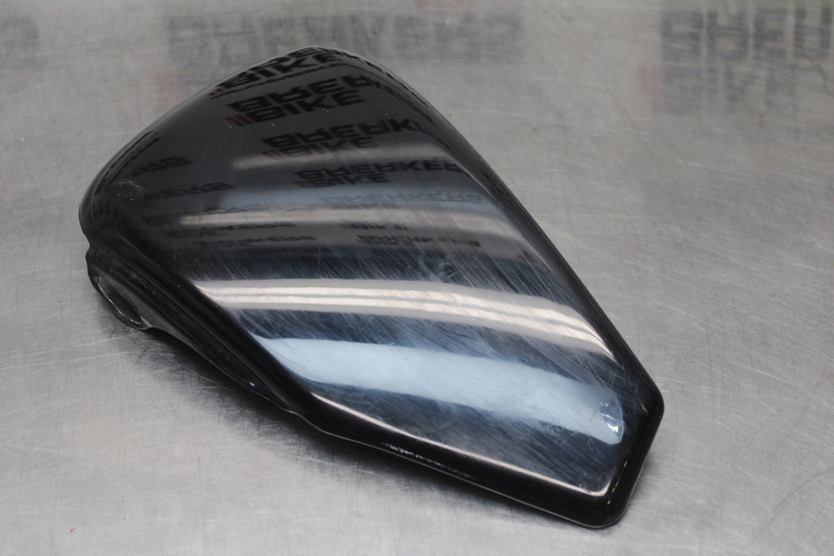 07 HARLEY-DAVIDSON SPORTSTER 1200 CUSTOM XL1200C LEFT SIDE COVER PANEL BB833