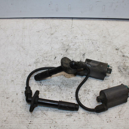 90-07 KAWASAKI ZZR 250 IGNITION COILS COIL SPARK PLUG CAPS BB298