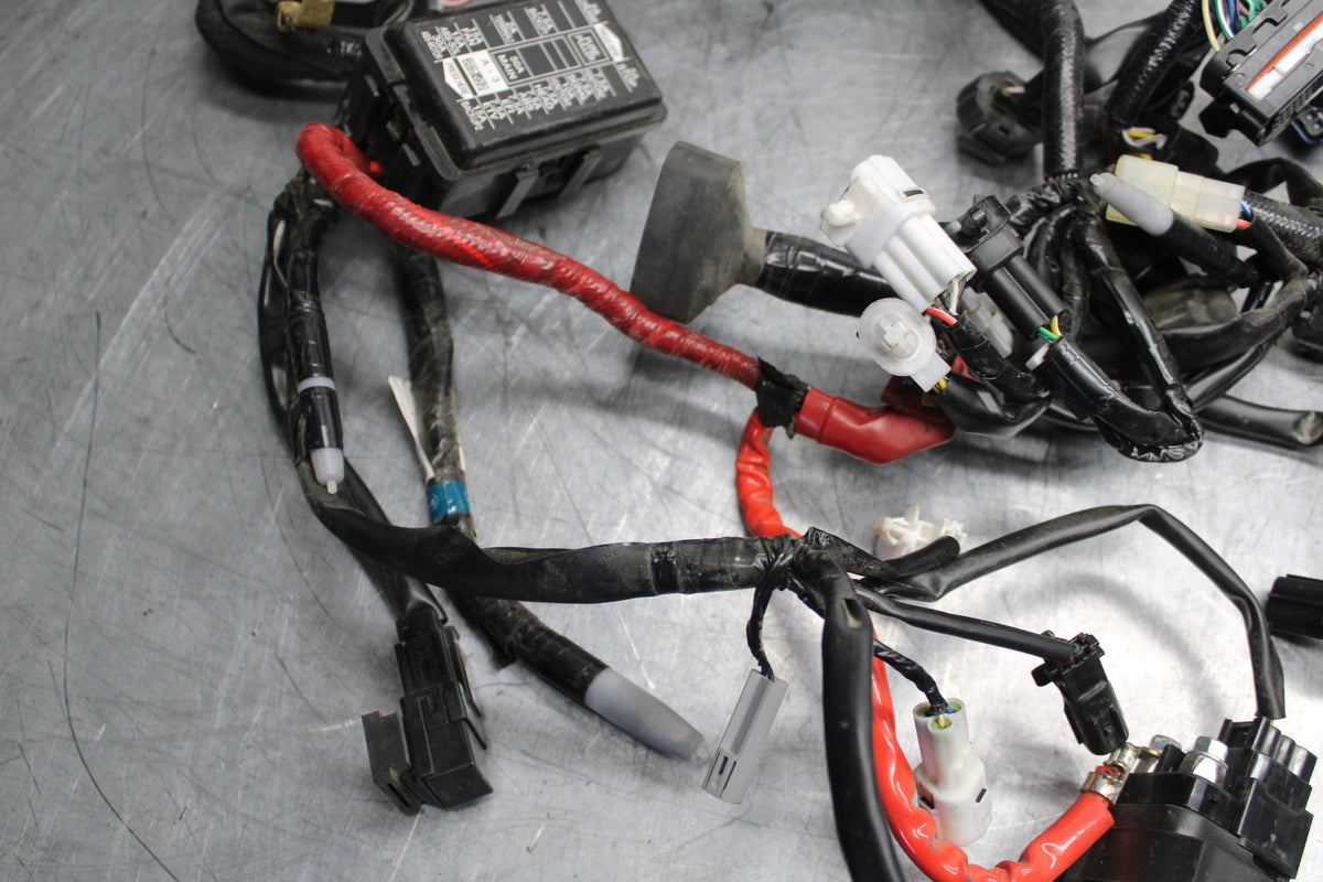 22-24 YAMAHA XSR900 MAIN ENGINE WIRING HARNESS MOTOR WIRE LOOM BB710