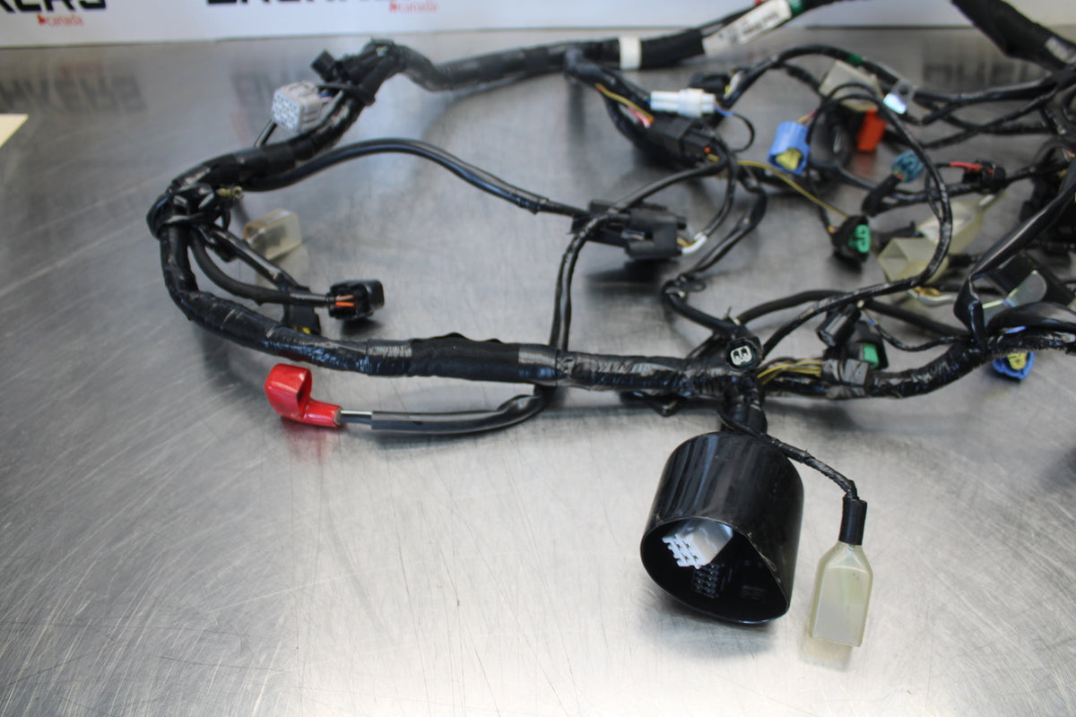 23-24 KAWASAKI NINJA ZX14R NEW!!  MAIN ENGINE WIRING HARNESS WIRE LOOM BB169
