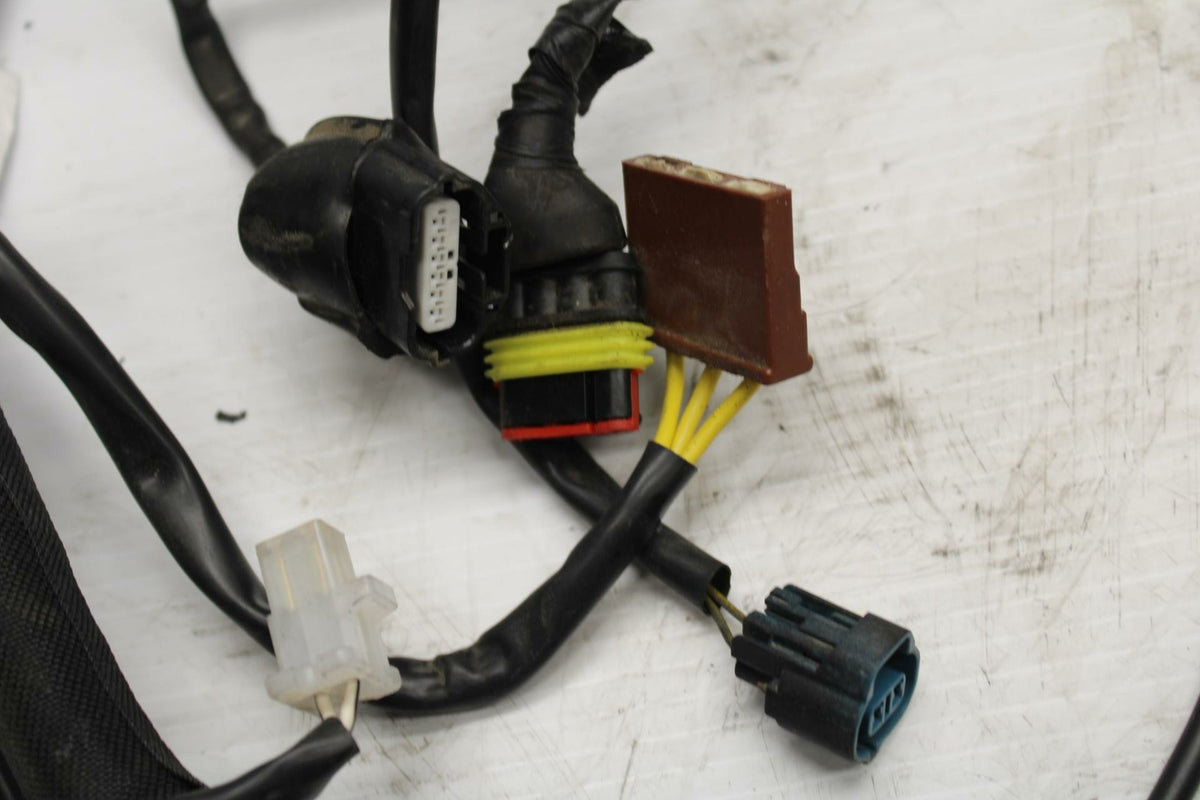 18-20 HUSQVARNA VITPILEN 401 MAIN ENGINE WIRING HARNESS MOTOR WIRE LOOM BB248