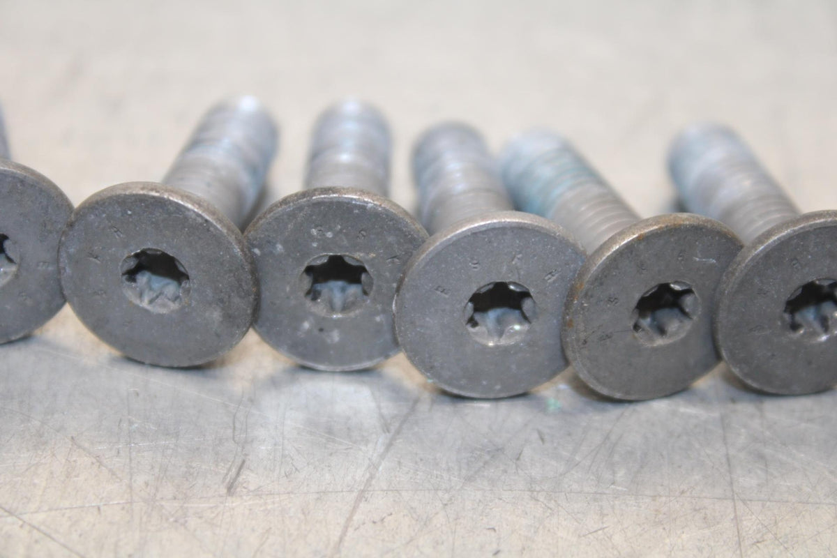 2016 BMW S1000R ABS FRONT BRAKE ROTOR BOLTS DISC HARDWARE SCREW SET KIT BB604