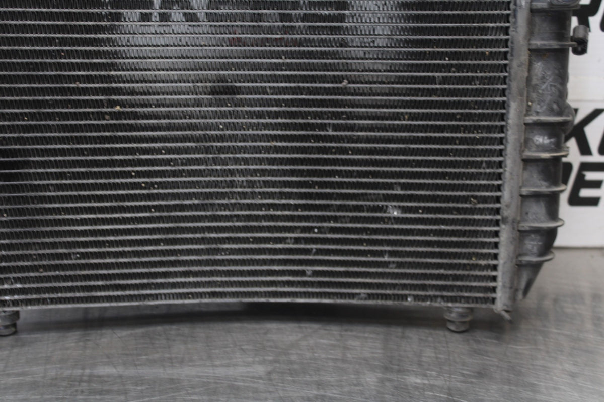 22 HARLEY-DAVIDSON PAN AMERICA 1250 ENGINE RADIATOR MOTOR COOLER COOLING BB910