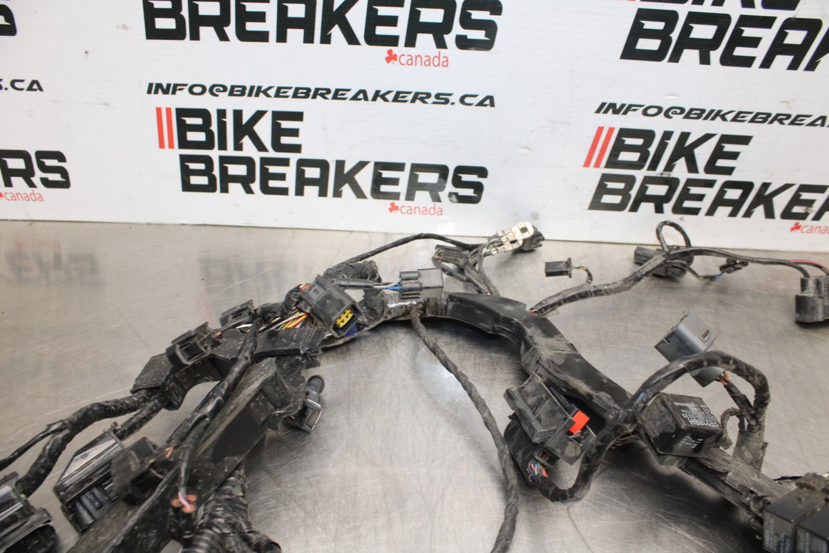 14 TRIUMPH STREET TRIPLE ABS MAIN ENGINE WIRING HARNESS MOTOR WIRE LOOM BB808