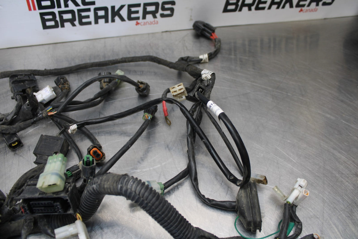 18-22 HUSQVARNA VITPILEN 701 MAIN ENGINE WIRING HARNESS MOTOR WIRE LOOM BB198