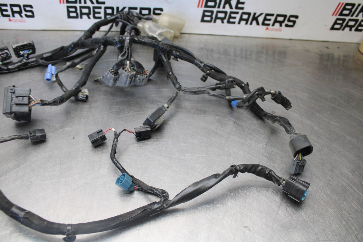 23 KAWASAKI NINJA 650 EX650 MAIN ENGINE WIRING HARNESS MOTOR WIRE LOOM BB920