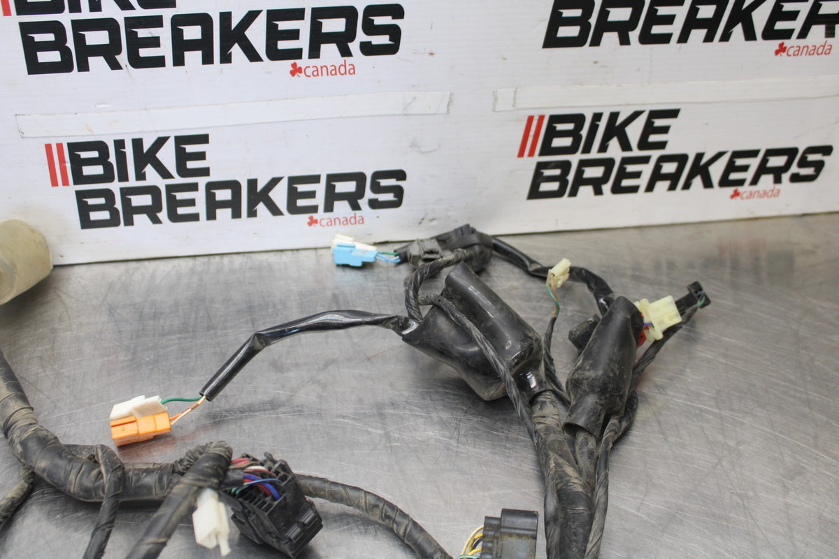 98-05 HONDA SUPER HAWK 1000 VTR1000F MAIN ENGINE WIRING HARNESS WIRE LOOM BB924