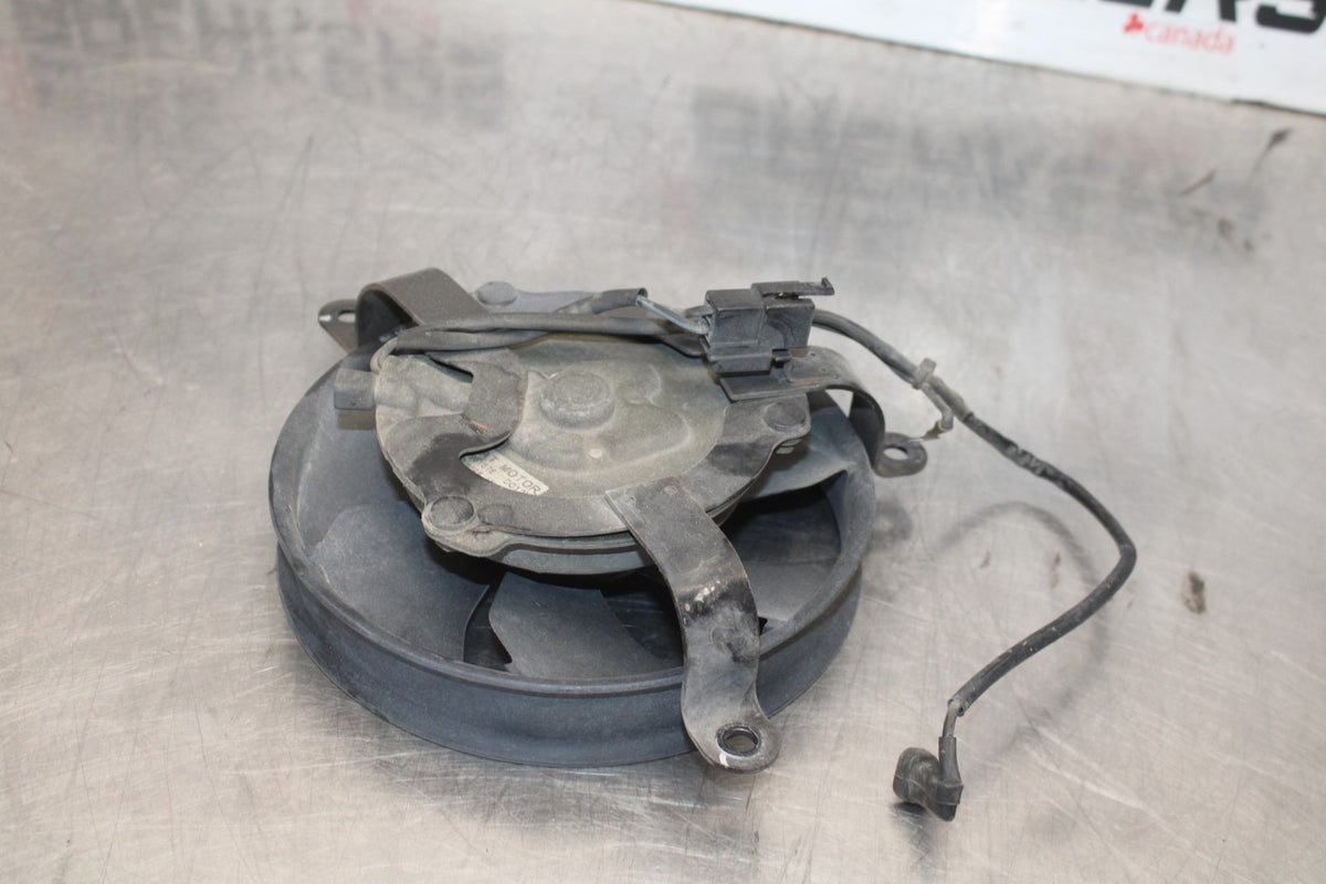 00-01 HONDA CBR929RR ENGINE RADIATOR COOLING FAN BB925