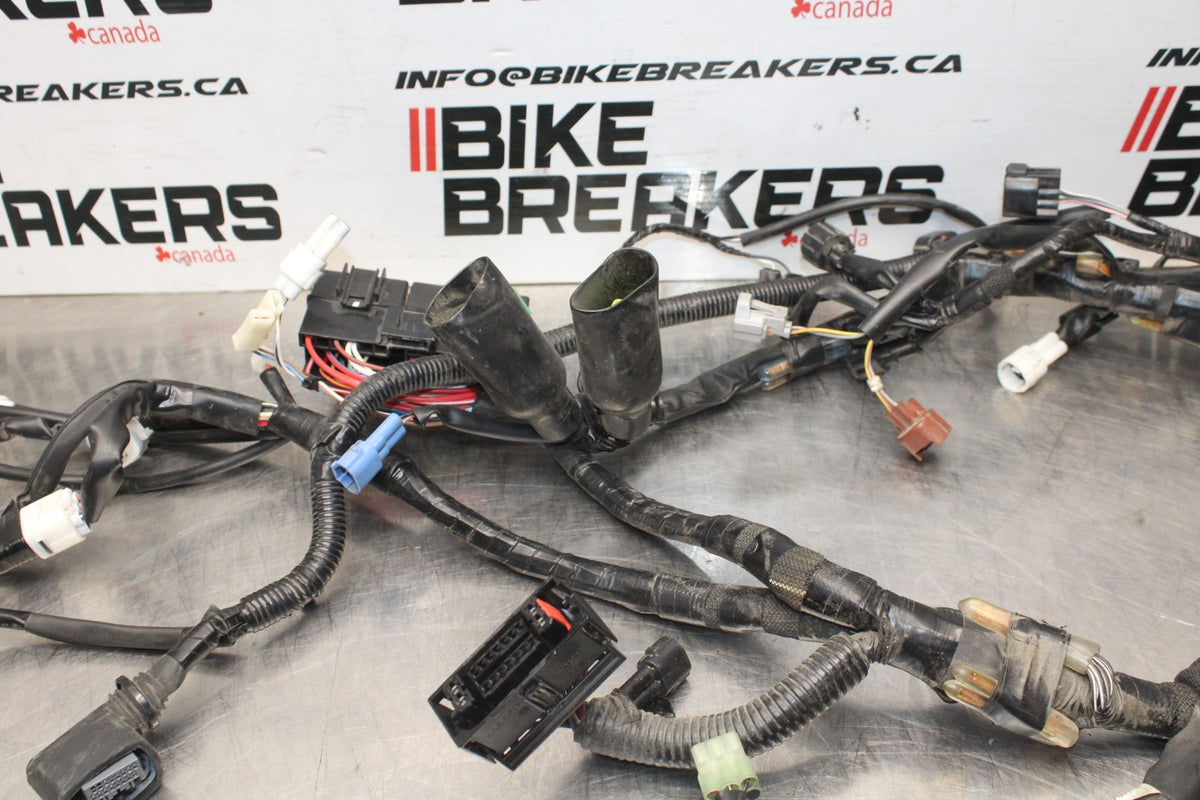 17-24 SUZUKI SV650 MAIN ENGINE WIRING HARNESS MOTOR WIRE LOOM BB829