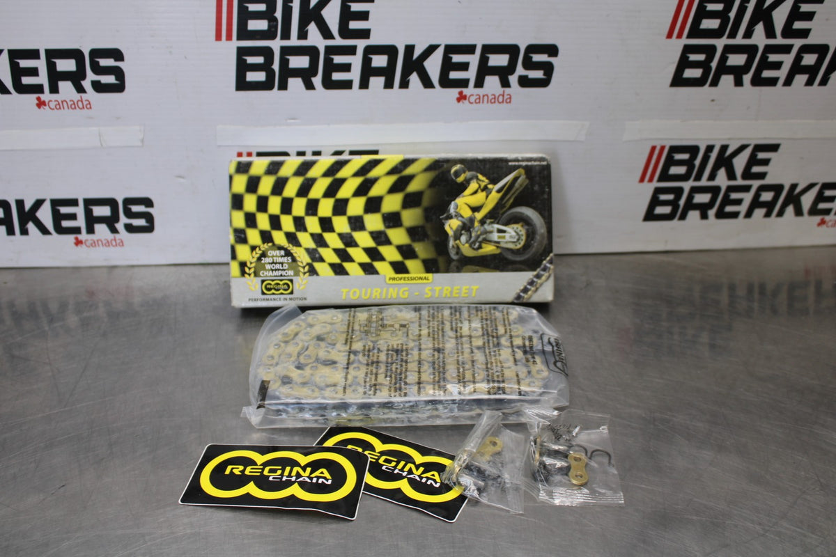 REGINA NEW!! TOURING MAIN DRIVE CHAIN  BB876
