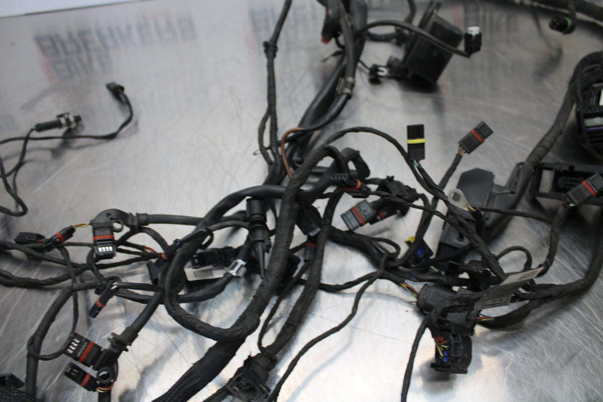 06-12 BMW F800ST MAIN ENGINE WIRING HARNESS MOTOR WIRE LOOM BB144