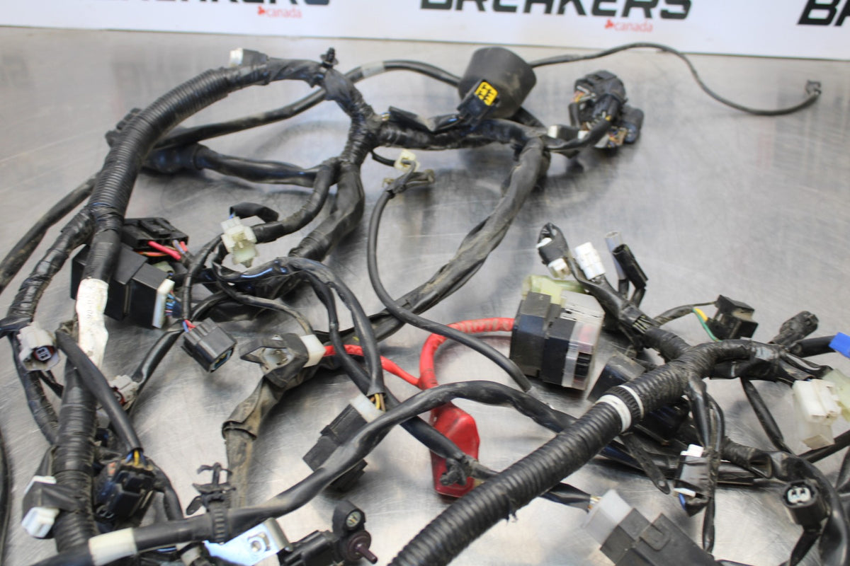 09 YAMAHA V STAR 950 MAIN ENGINE WIRING HARNESS MOTOR WIRE LOOM BB172