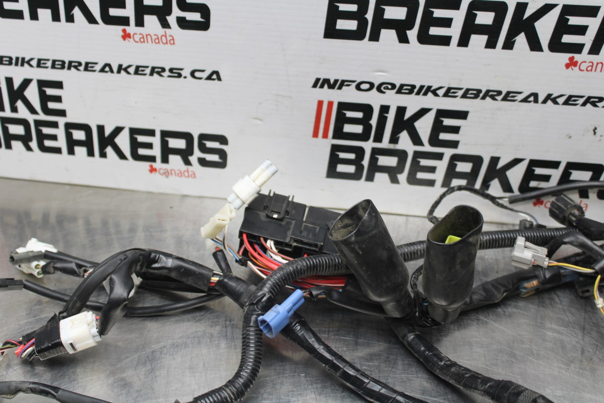 17-24 SUZUKI SV650 MAIN ENGINE WIRING HARNESS MOTOR WIRE LOOM BB829
