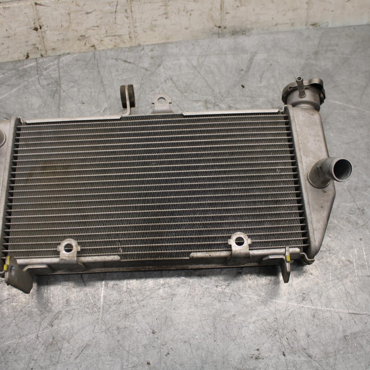 2015 Yamaha YZF R3 ENGINE RADIATOR MOTOR COOLER COOLING RADIATER BB526