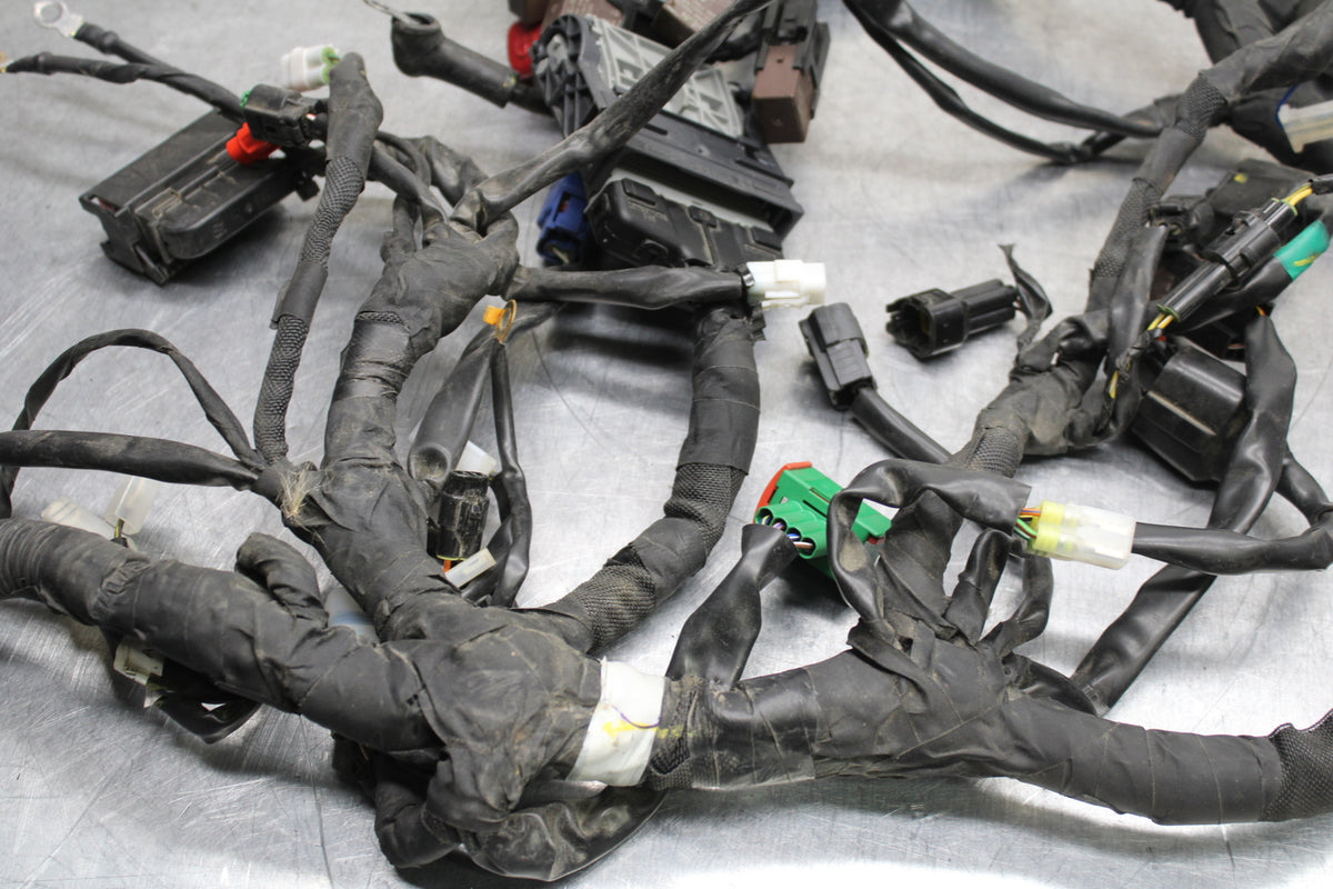 17-24 KTM 390 DUKE MAIN ENGINE WIRING HARNESS MOTOR WIRE LOOM BB734