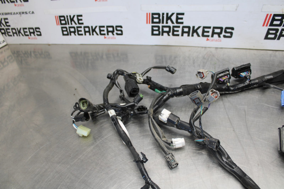 23 KAWASAKI NINJA 650 EX650 MAIN ENGINE WIRING HARNESS MOTOR WIRE LOOM BB920