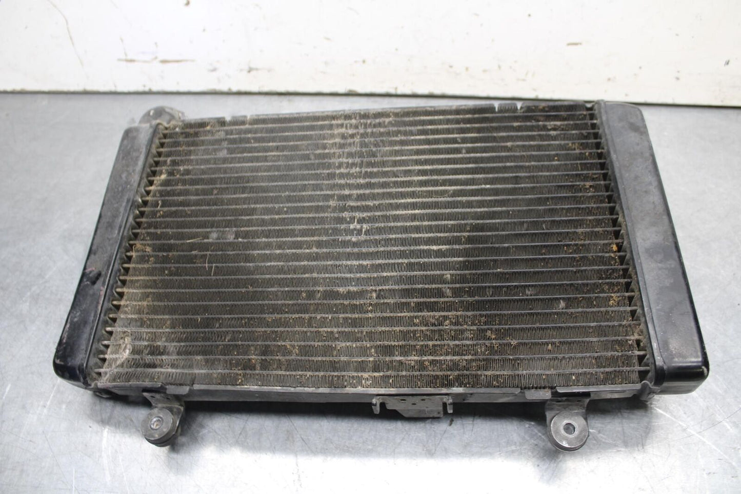 2008 Honda CBF1000 ENGINE RADIATOR MOTOR COOLER COOLING RADIATER BB641