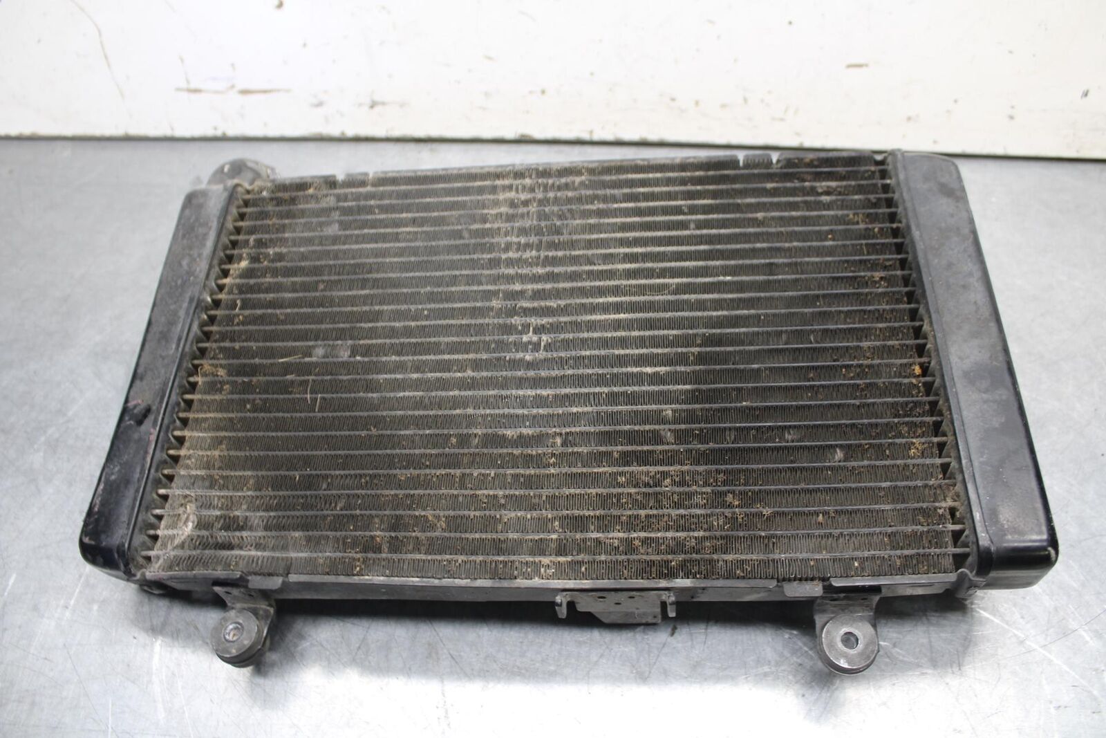 2008 Honda CBF1000 ENGINE RADIATOR MOTOR COOLER COOLING RADIATER BB641