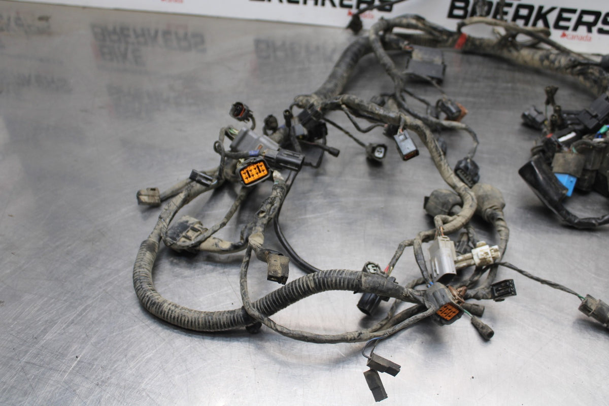 15 TRIUMPH TIGER 800 MAIN ENGINE WIRING HARNESS MOTOR WIRE LOOM BB873