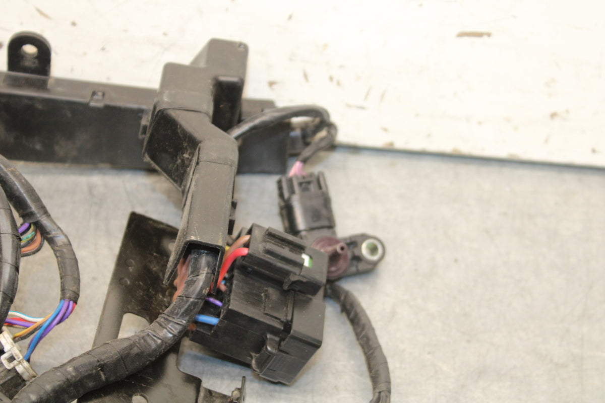 14-15 TRIUMPH STREET TRIPLE R MAIN ENGINE WIRING HARNESS MOTOR WIRE LOOM BB441
