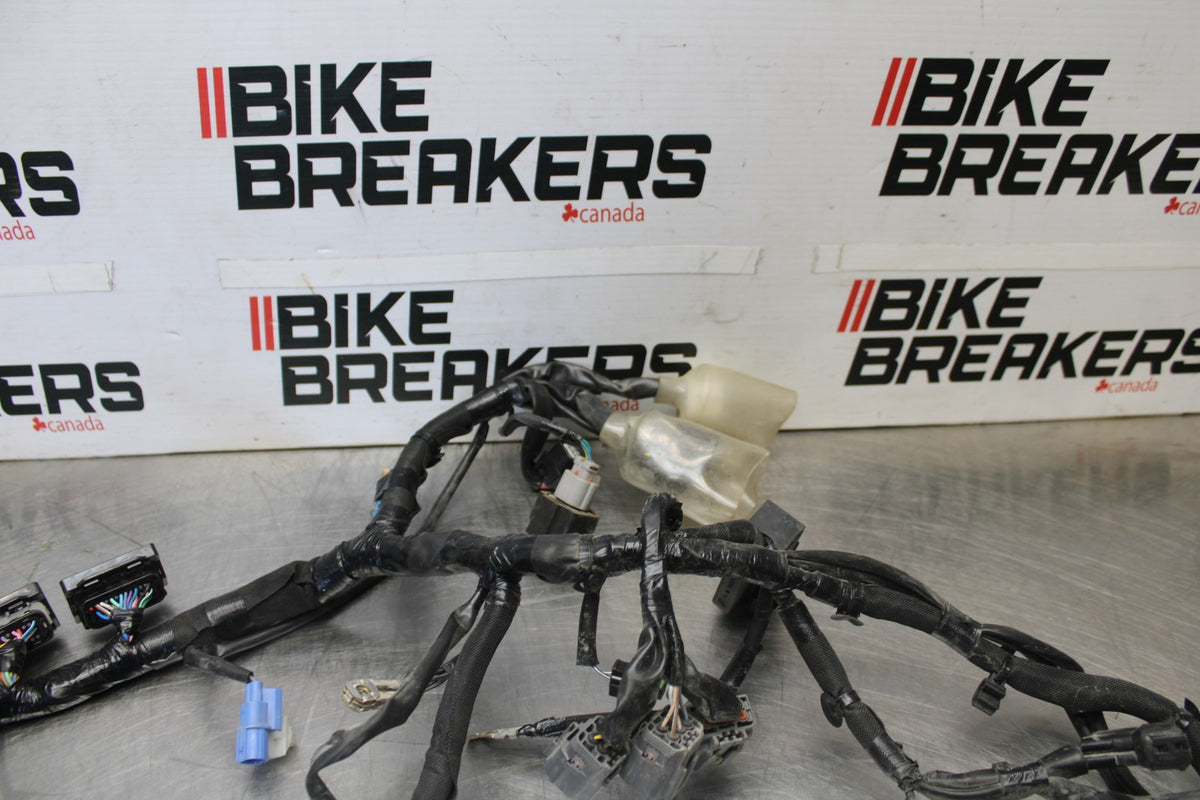 23 KAWASAKI NINJA 650 EX650 MAIN ENGINE WIRING HARNESS MOTOR WIRE LOOM BB920