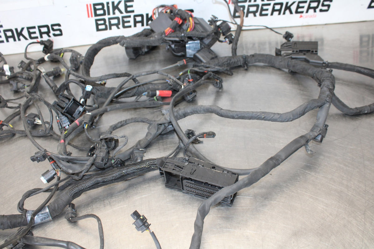 17-20 BMW S1000R FULL ENGINE WIRING HARNESS MOTOR WIRE LOOM BB909