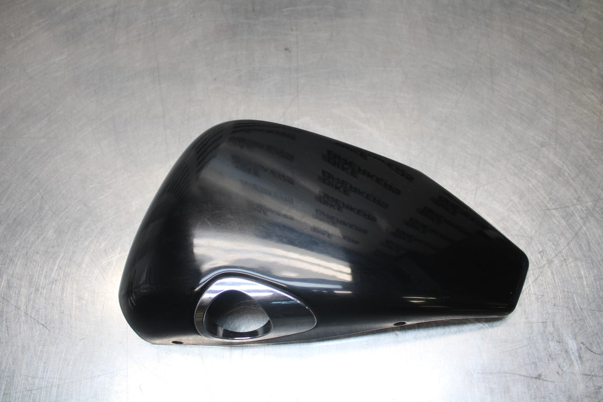 09 HARLEY-DAVIDSON SPORTSTER 1200 CUSTOM XL1200C OIL TANK SIDE COVER PANEL BB776