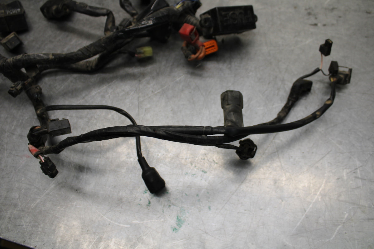14-16 TRIUMPH AMERICA LT MAIN ENGINE WIRING HARNESS MOTOR WIRE LOOM BB720