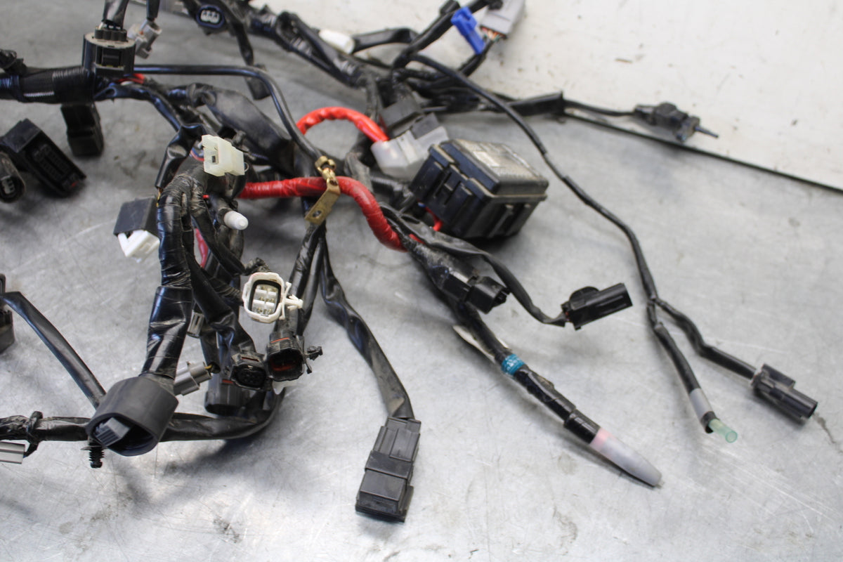 22-24 YAMAHA XSR900 MAIN ENGINE WIRING HARNESS MOTOR WIRE LOOM   BB683