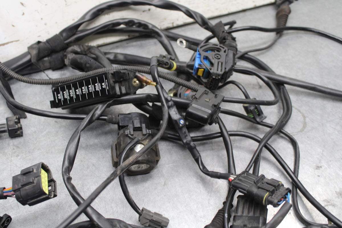 06-07 DUCATI MONSTER 695 MAIN ENGINE WIRING HARNESS MOTOR WIRE LOOM BB674