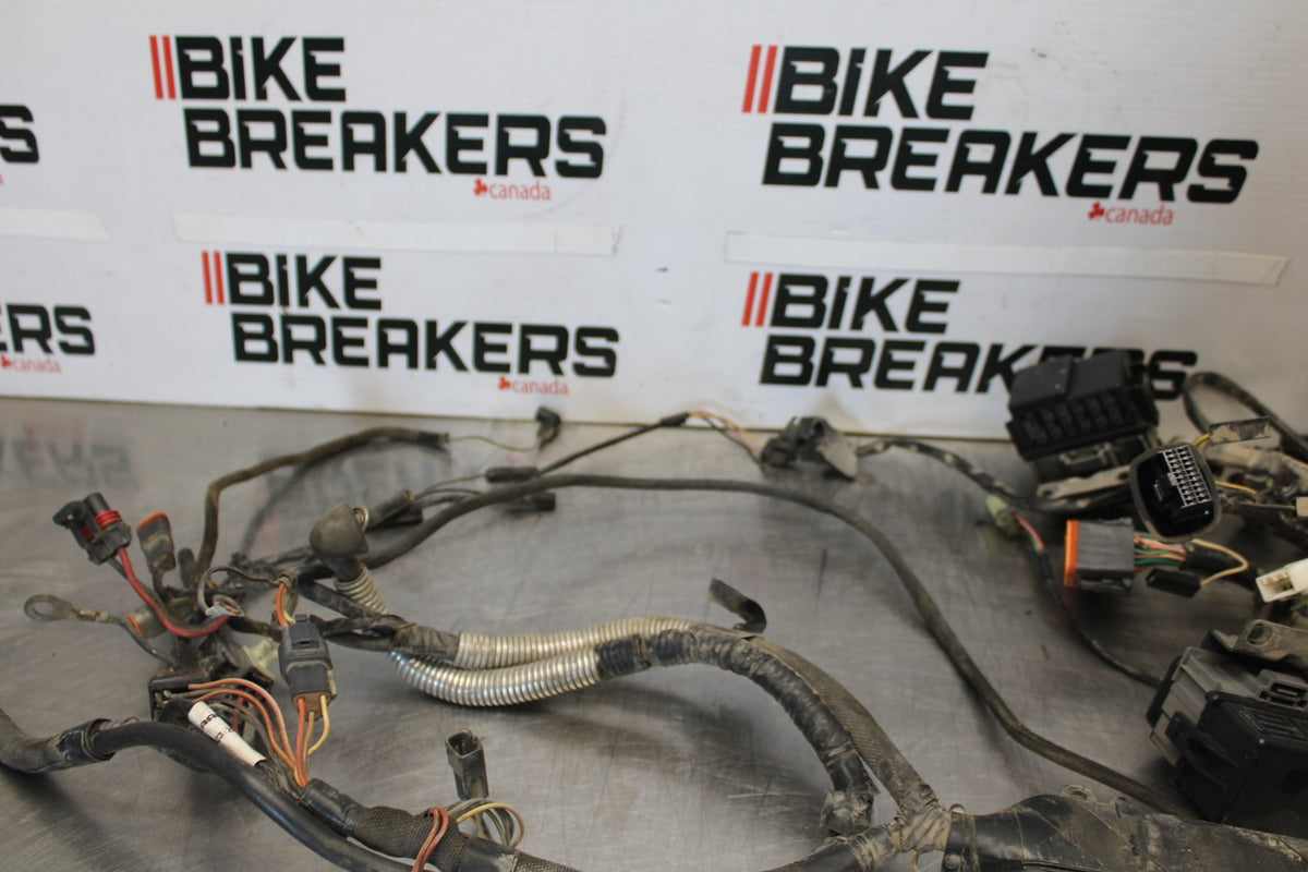 04 BUELL FIREBOLT XB12R ENGINE WIRING HARNESS MOTOR WIRE LOOM BB903