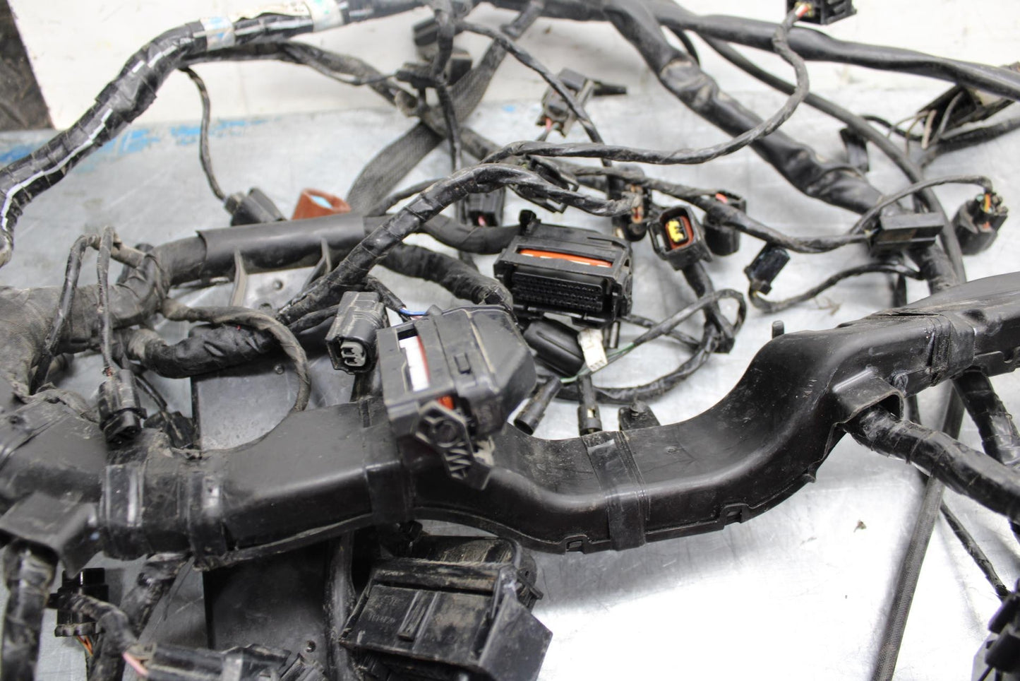 17-21 TRIUMPH STREET TRIPPLE R ABS MAIN  WIRING HARNESS MOTOR WIRE LOOM bb452