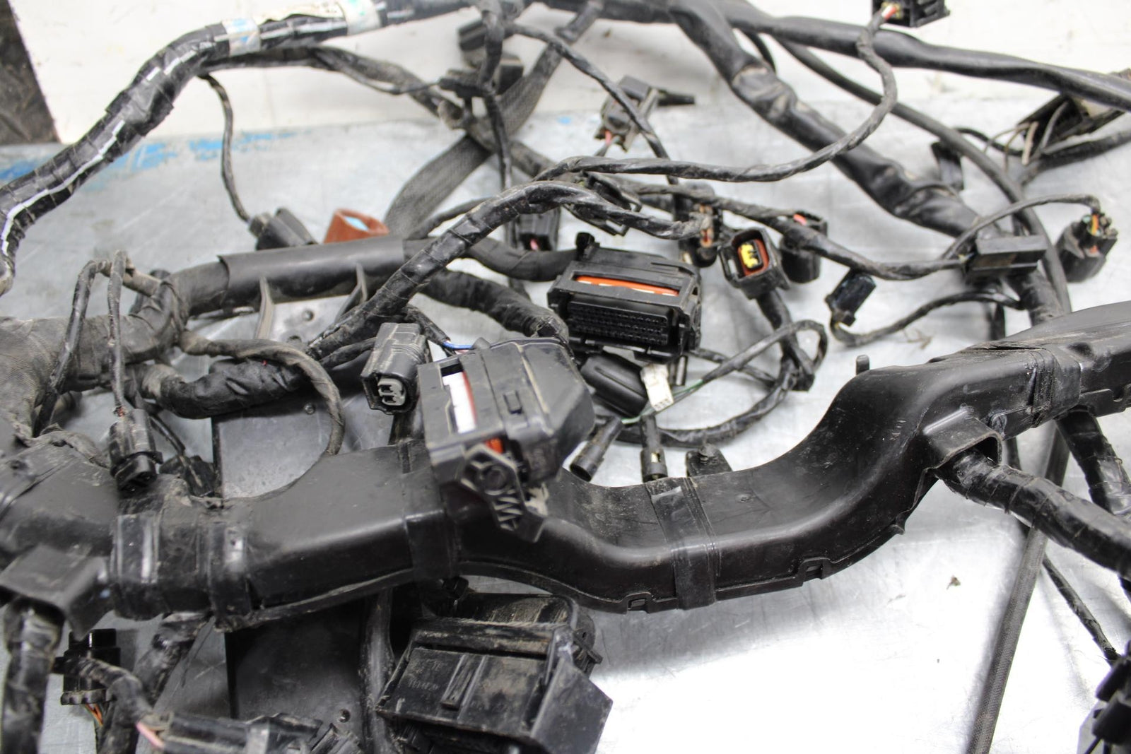 17-21 TRIUMPH STREET TRIPPLE R ABS MAIN  WIRING HARNESS MOTOR WIRE LOOM bb452